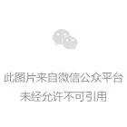 口才培训班散文诗歌教案《我帮小鸟找妈妈》